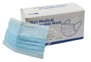 Disposable adult mask