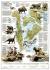 Dinosaurs of North American poster map (tubed)